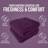 ecomposer-color-purple-passion