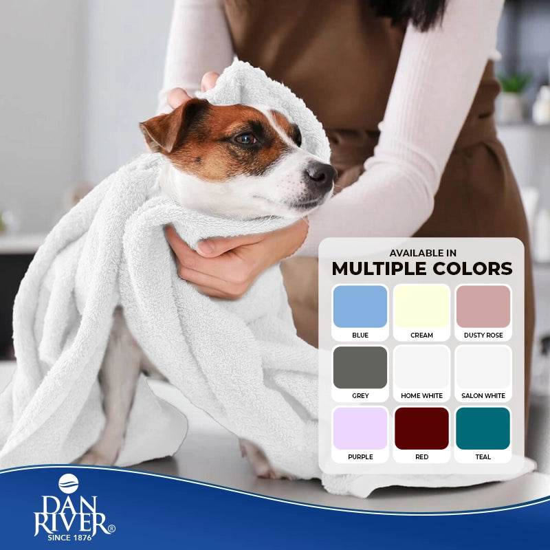 ecomposer-color-White-pet-Salon