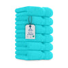 ecomposer-color-aqua,ecomposer-size-Hand-Towel-Pk6-(16X28)