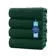 Everyday Essential Cotton Bath Towels - (Pack of 4) DAN RIVER