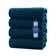 Everyday Essential Cotton Bath Towels - (Pack of 4) DAN RIVER
