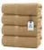 Everyday Essential Cotton Bath Towels - (Pack of 4) DAN RIVER